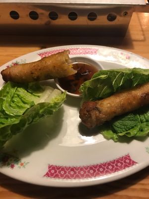 Fried spring rolls at Saigon in Bonn