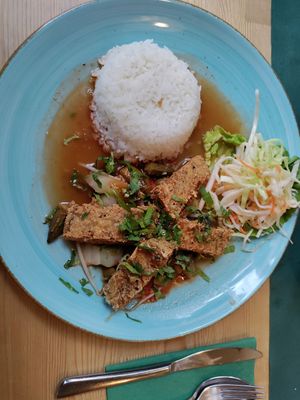 Fried seitan, rice, crispy veggies at Saigon in Bonn