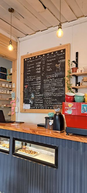  at Menta (Cafe de especialidad & Dulcería Vegana) in Puerto Natales