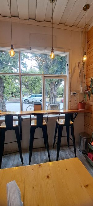  at Menta (Cafe de especialidad & Dulcería Vegana) in Puerto Natales