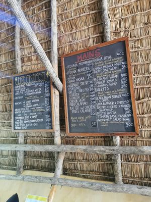  at Turtle Cove Lodge in Tofo