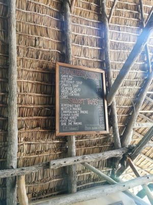  at Turtle Cove Lodge in Tofo