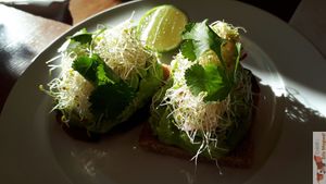Avocat toast at Holiday Vegan Diner in Paris