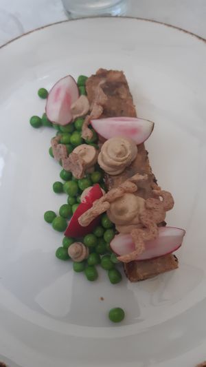 Plum terrine at Glas Restaurant in Dublin