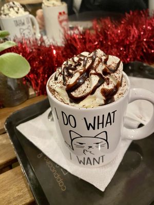   at Curieux Coffeeshop in Nantes