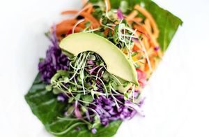 Fresh Rolls at Juice Station in Pembroke