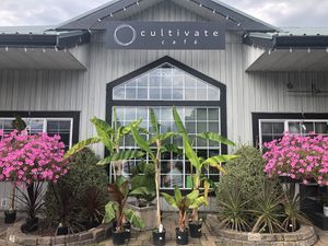   at Cultivate Cafe in Chilliwack