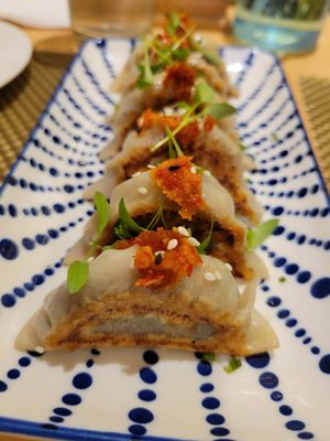 Gyoza at iVegan in Makati