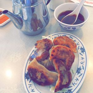 fried vegetable dumplings at Harmony Vegetarian in Chamblee