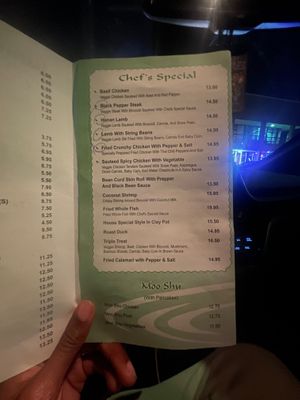 The entire menu is vegan, except for the circled items. They include dairy. at Harmony Vegetarian in Chamblee