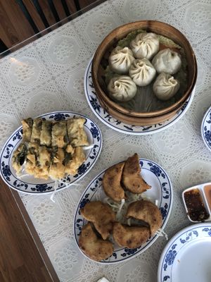 Veggie dumplings, seaweed fried tofu rolls, leek dumplings. at Harmony Vegetarian in Chamblee