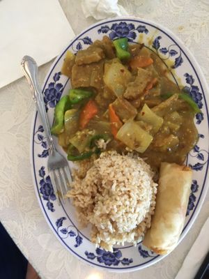 Beef Curry with spring roll  at Harmony Vegetarian in Chamblee