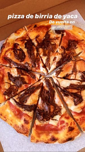 Solo Domingos. Only on Sundays “birria pizza" at Gardeno - Calle Orizada in Tijuana
