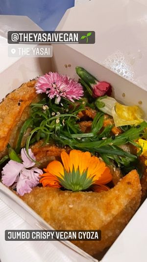 Jumbo crispy vegan gyoza at The Yasai - Convoy in San Diego