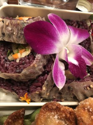   at The Yasai - Convoy in San Diego