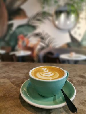 Oat latte at Wolfox in Brighton