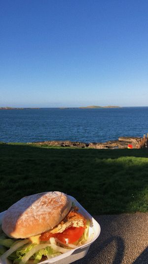 vegan spicy chicken burger at Infinity Fish Bar & Grill in Portrush