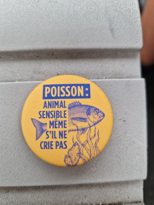  at Cabane du 12 in Nice