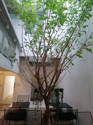 ❤️ at Broccoli Revolution - Charoenkrung in Bangkok