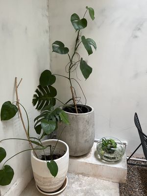   at Broccoli Revolution - Charoenkrung in Bangkok