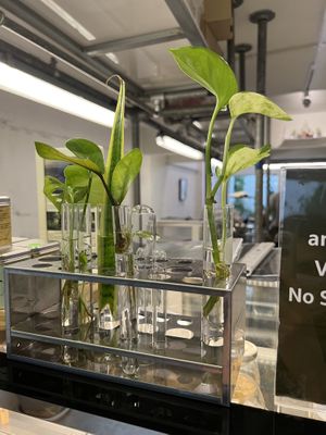   at Broccoli Revolution - Charoenkrung in Bangkok