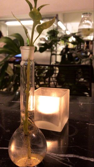 ☺️ at Broccoli Revolution - Charoenkrung in Bangkok