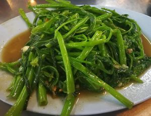 Morning glory at Flying Vegetable in Pattaya