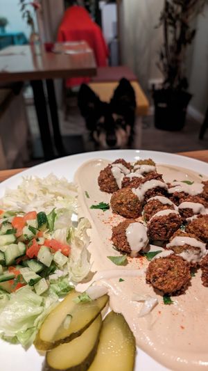Falafel plate at Falafel Sababa in Berlin