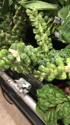 On the stalk Brussels! at Foster's in Seven Mile Beach