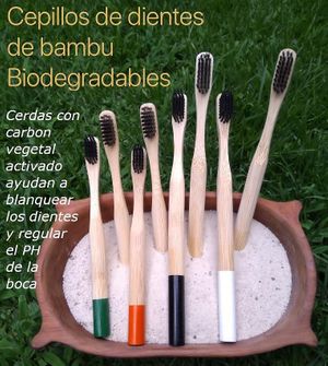 Cepillos de Dientes Bambú Biodegradables

* Cerdas con carbón vegetal que ayudan a blanquear los dientes y mantener el PH de la boca at LaRous Vida Natural in Quito