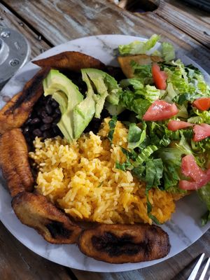 vegan option at AltaVita Restaurant in Idaho Falls