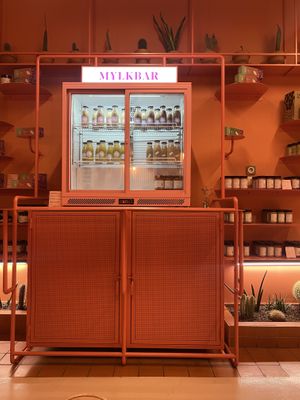   at Wild Souls in Athens