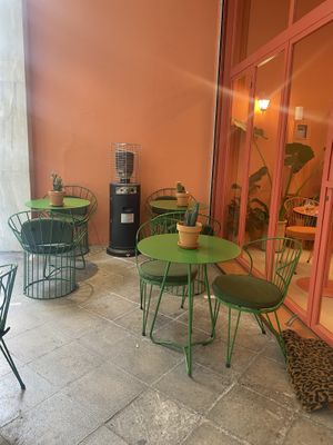   at Wild Souls in Athens