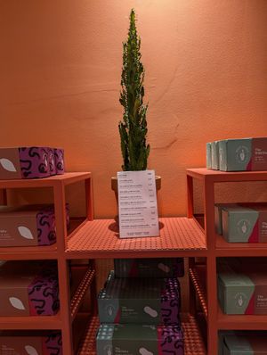 halva at Wild Souls in Athens