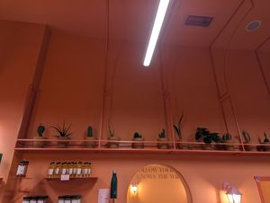 interior at Wild Souls in Athens