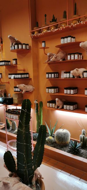 Jam, peanut butter etc at Wild Souls in Athens