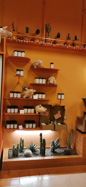 🐷 at Wild Souls in Athens