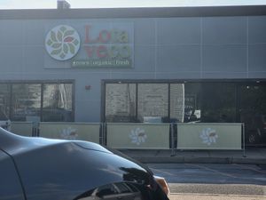  at Lota Veco in East Northport