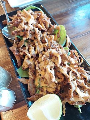 Shredded oyster mushroom calamari, don't miss it! at Red Lentil in Watertown