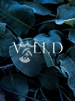 VILLD1 at Villd in Helsinki