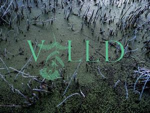 VILLD3 at Villd in Helsinki