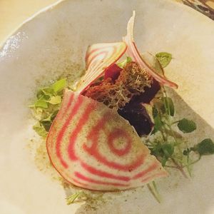 Annoksessa mm. kuusta, mesijuurta ja jäkälää   at Villd in Helsinki