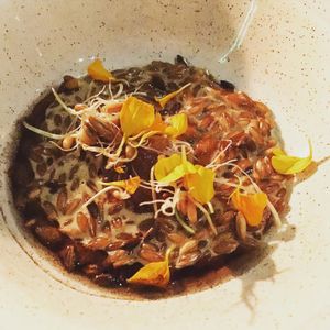 Ruis, pakuri, kanerva   at Villd in Helsinki