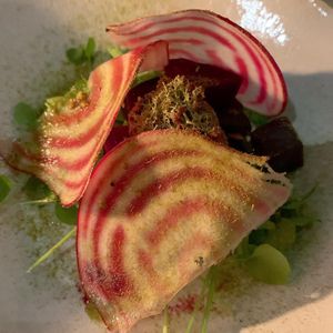 Beetroot, spruce, polypody, lichen. at Villd in Helsinki