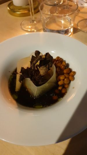 Second starter at Villd in Helsinki