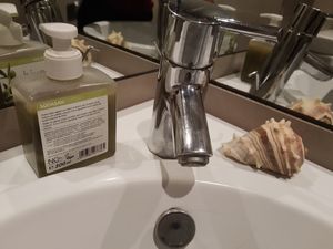 Vegan friendly soap at La Nòmada in Olot