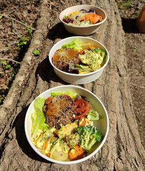 Bean burgers with veggies and salad at La Nòmada in Olot