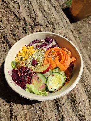 Salad with an amazing apple cider vinegar dressing at La Nòmada in Olot