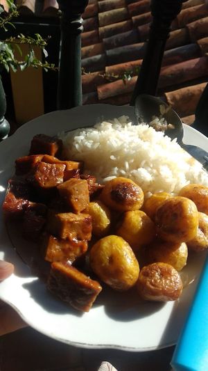 Seitán BBQ / BBQ seitan at Vegan For The Animals Food in Bogota