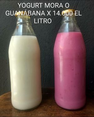 Yogurt at Vegan For The Animals Food in Bogota